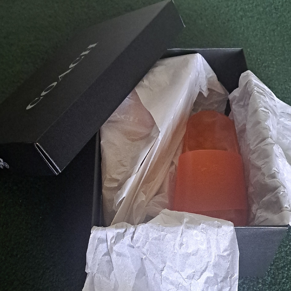 Coach Vibrant Orange Jelly Slides Great for the beach or casual wear.